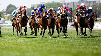 Melbourne Cup Lunch Cruise 
