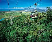 Skyrail glides over the rainforest
